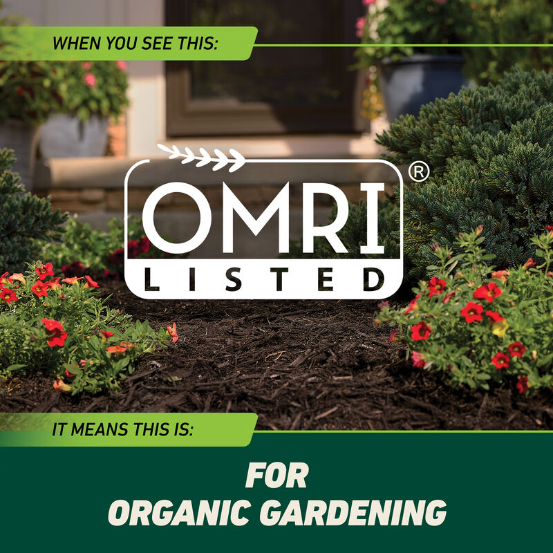 Ortho® GroundClear® Weed & Grass Killer with Comfort Wand® image number null